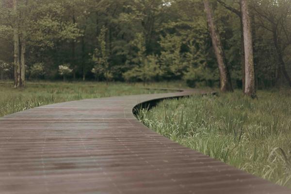 Pathways Banner Photo