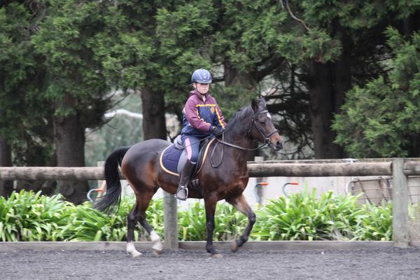 Horsemanship  Banner Photo