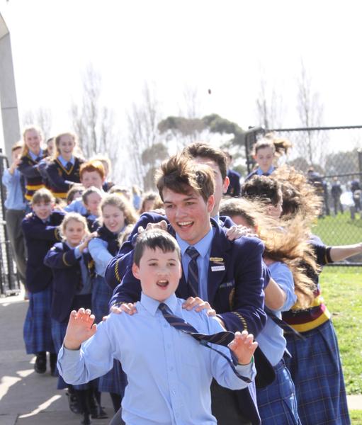  Senior Years and Wellbeing  Banner Photo