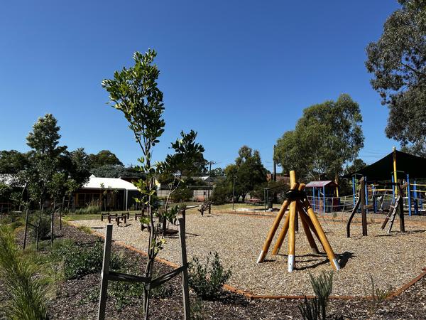 Primary Report Banner Photo