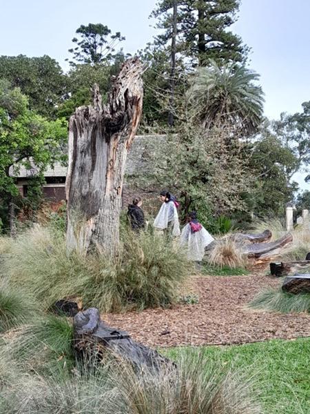 Biomimicry excursion – Royal Botanical Gardens Banner Photo