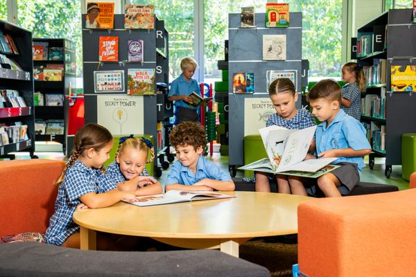 YEAR FIVE Banner Photo