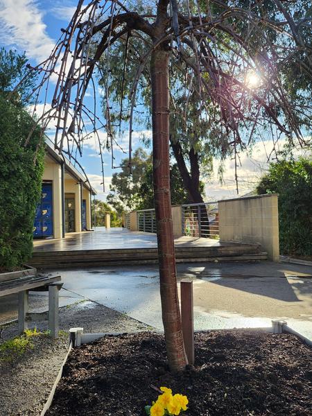 Year 8 News   Banner Photo