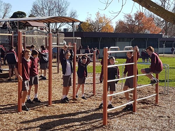 JUNIOR SCHOOL Banner Photo