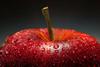 Classroom Cuisine Banner Photo