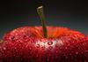 Classroom Cuisine Banner Photo