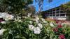 VCE VM Banner Photo