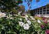 VCE VM Banner Photo