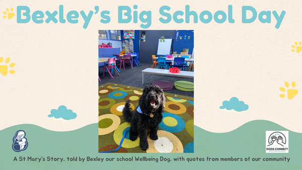 News from Bexley our school Well-Being Dog Banner Photo