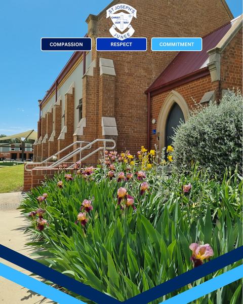 In our Classrooms Banner Photo