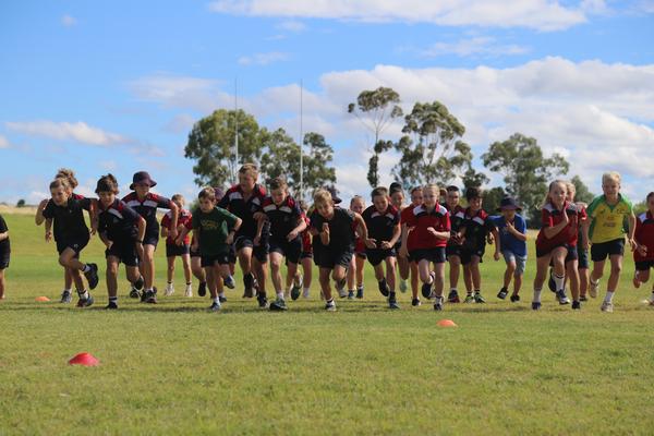 Sport Banner Photo