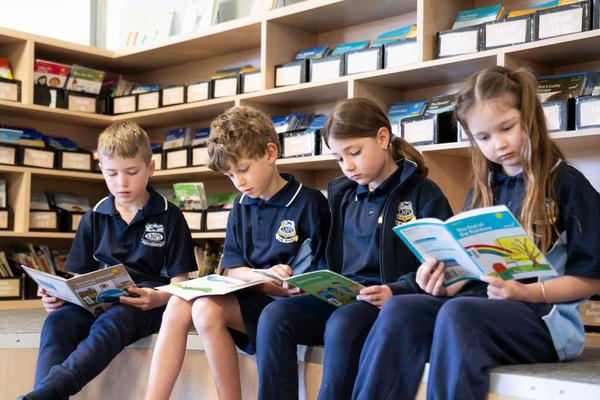 Tirkandi News Banner Photo