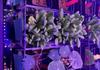 Growing Beyond Earth Trial 2 Banner Photo
