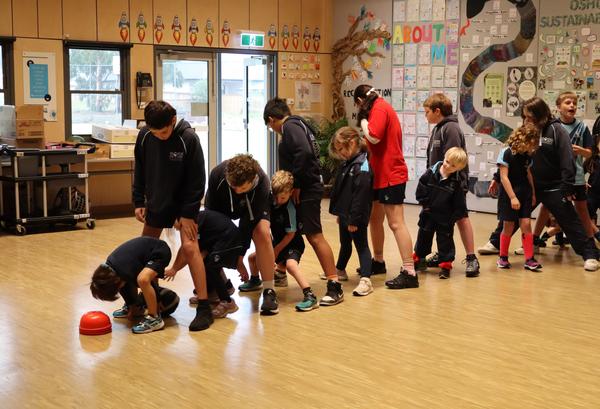 Grade 3 | Blackwood Banner Photo