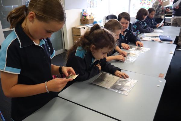 Grade 3 | Blackwood Banner Photo
