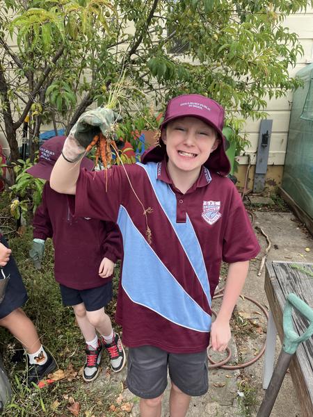 K-6 Cain  Banner Photo