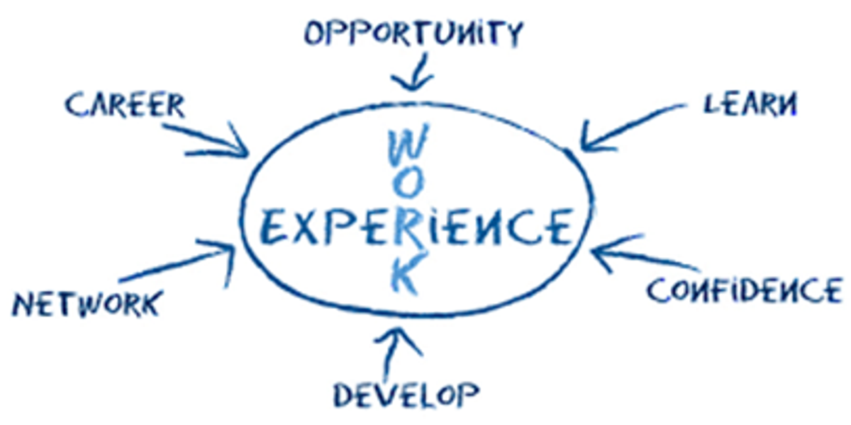Working experience or work experience. Experience. Ворк экспириенс. Previous work experience. Картинка experience.