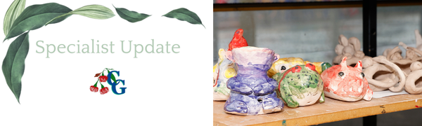 Specialist's Update  Banner Photo