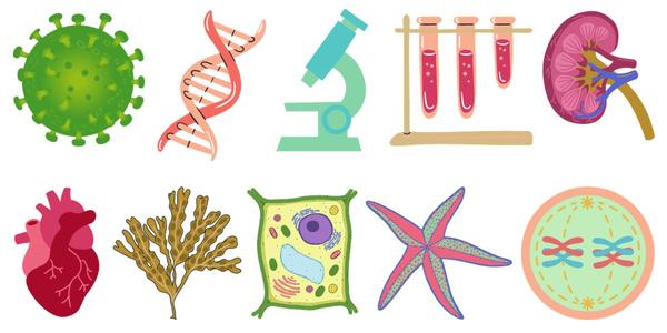 Science Banner Photo