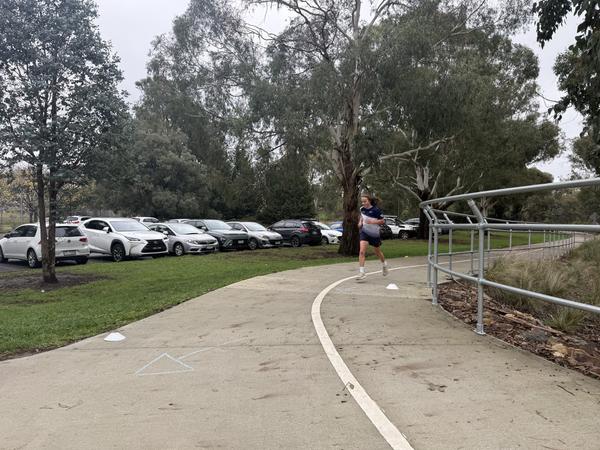 Knox Divison Cross Country Banner Photo
