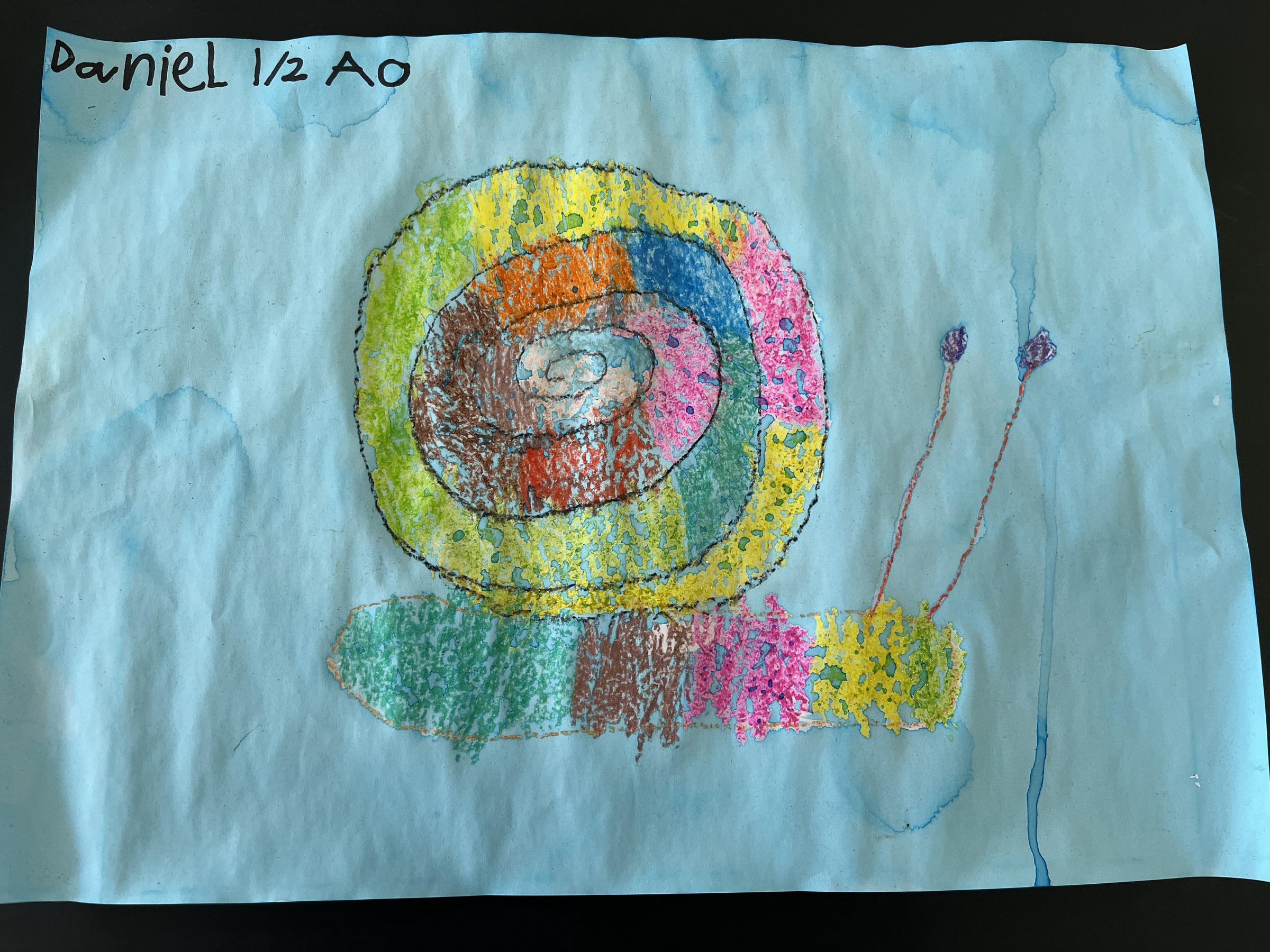 Visual Arts Banner Photo