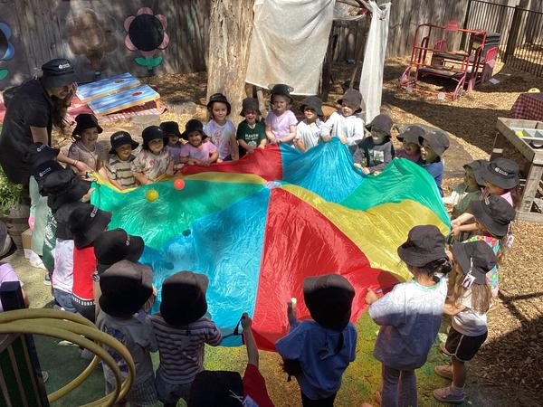 Forest (3 Year Old Kindergarten) Curriculum Banner Photo