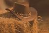 BARN DANCE at RCC Banner Photo