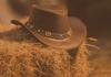 BARN DANCE at RCC Banner Photo