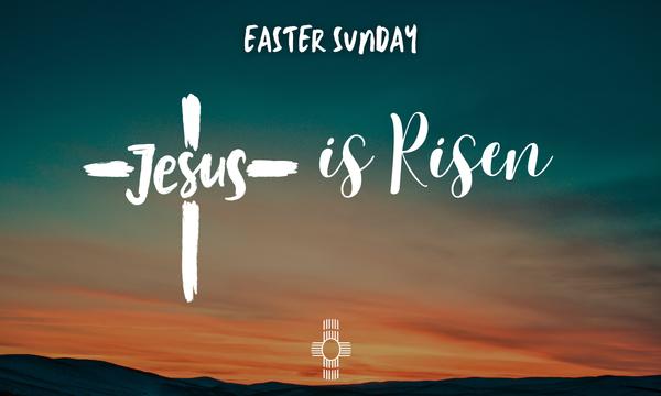 Whole School News Banner Photo