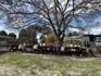Year 1/2 Learning Reflection Banner Photo