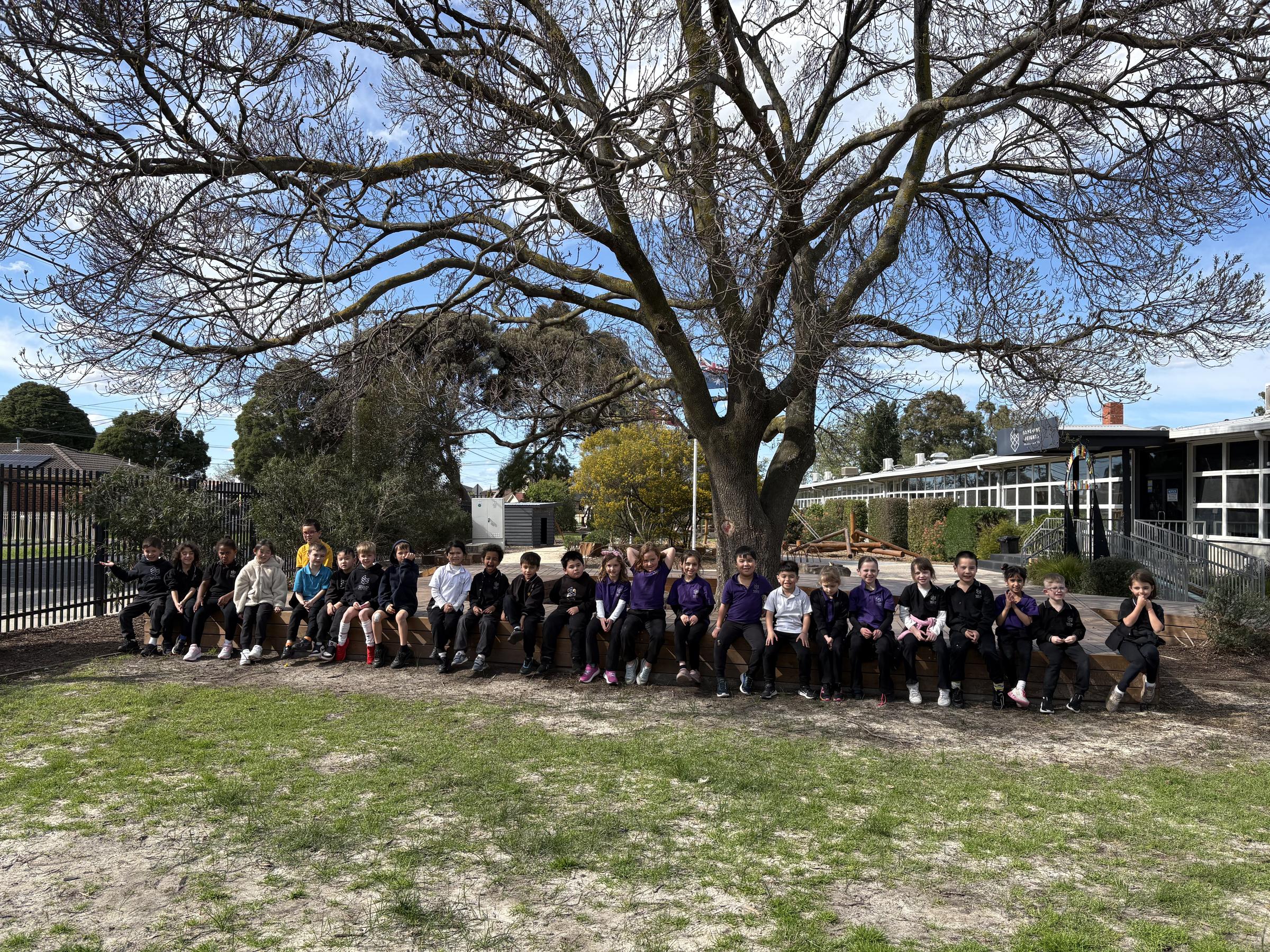Banner Photo