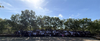 Year 9 News Banner Photo