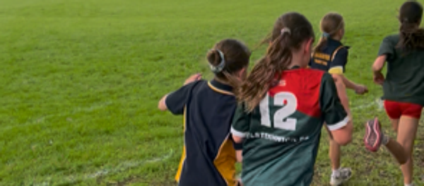 Cross Country Update Banner Photo