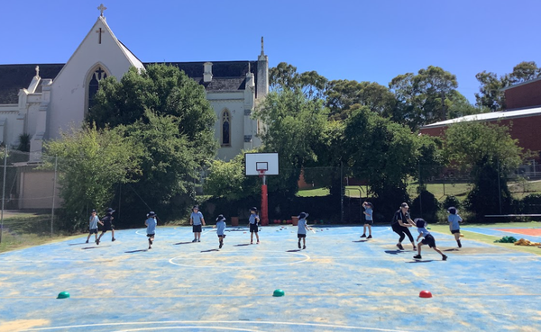 Health & PE Banner Photo