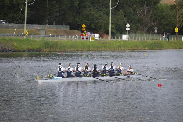 Rowing Banner Photo