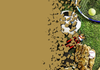 Sports News Banner Photo