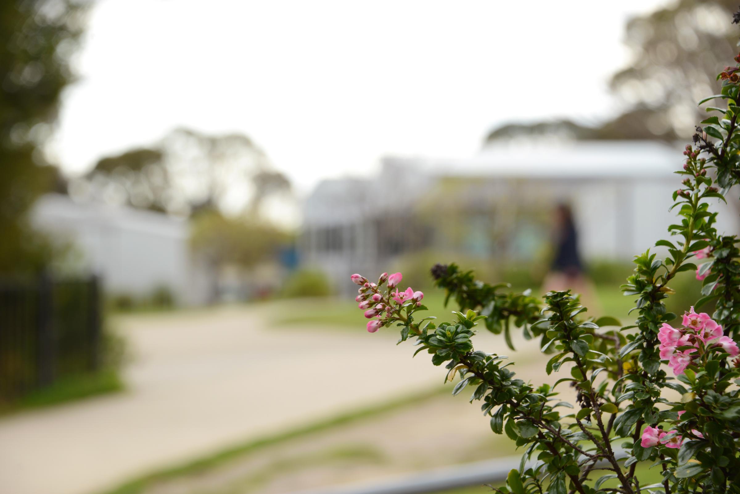 Banner Photo