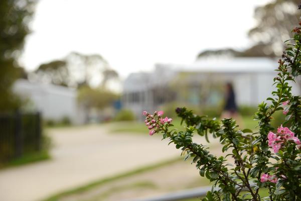 Arts Banner Photo