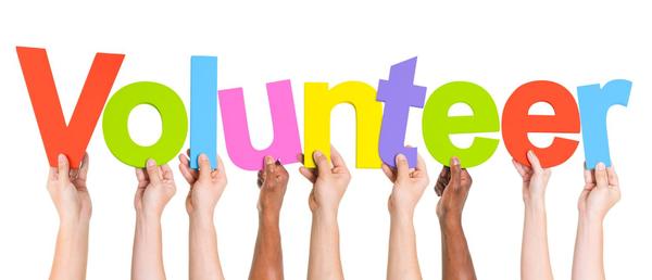 Volunteer at NMPS Banner Photo