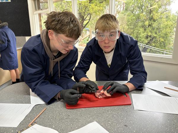 Year 8 Science Banner Photo