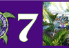 Page 0 Banner Photo
