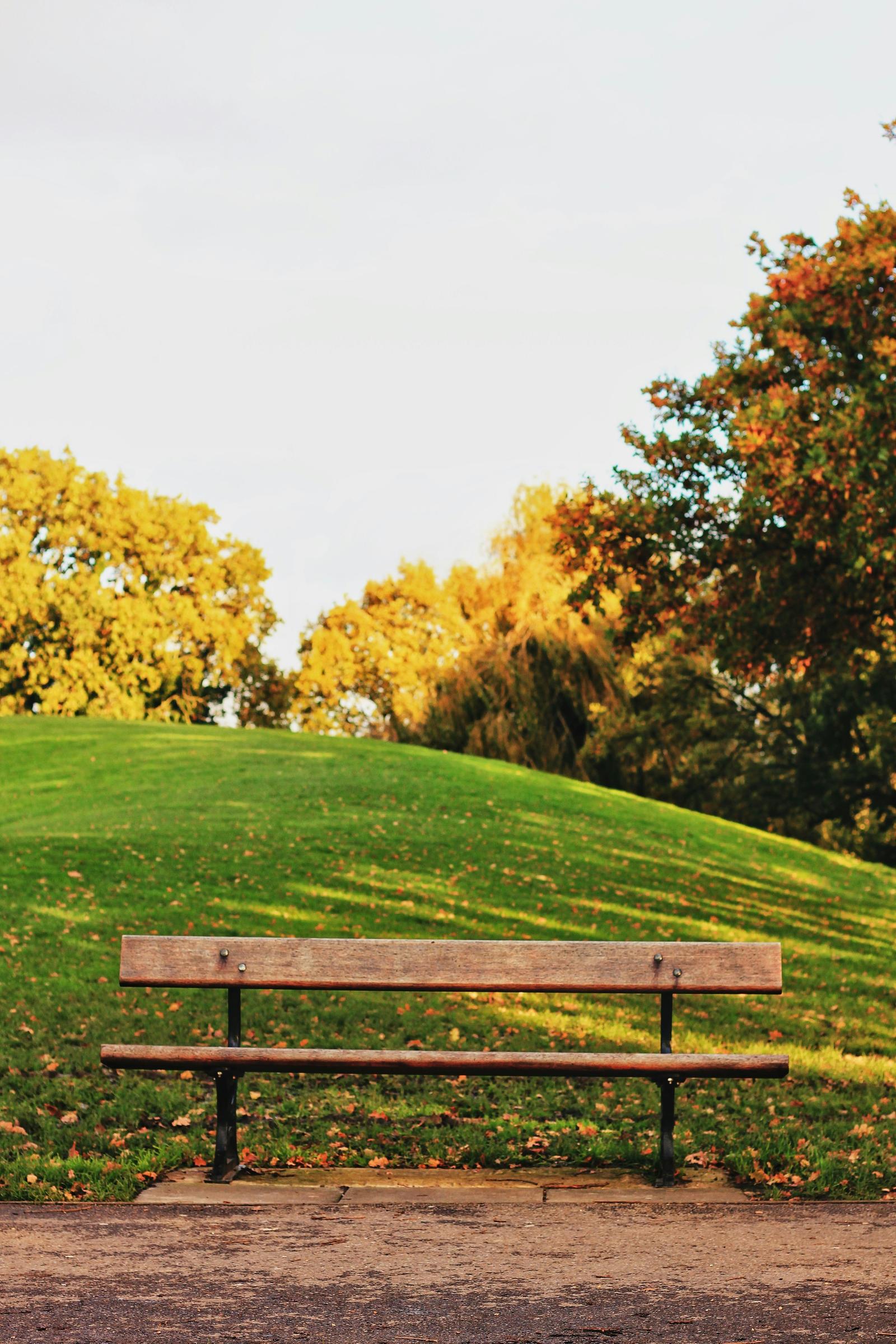 Community News Banner Photo