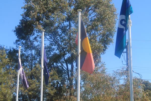 Introduction Banner Photo