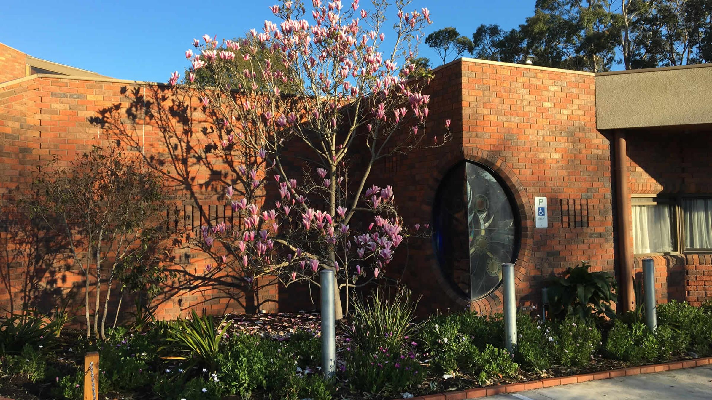 Parish News Banner Photo