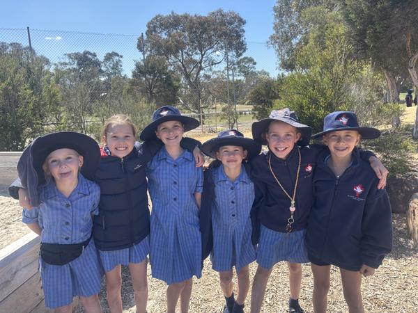 Year 4 Cluster News Banner Photo