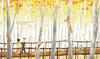 Library Banner Photo
