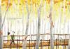 Library Banner Photo
