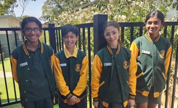 Captains Corner Banner Photo