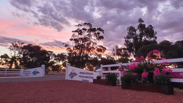 Student Wellbeing Banner Photo