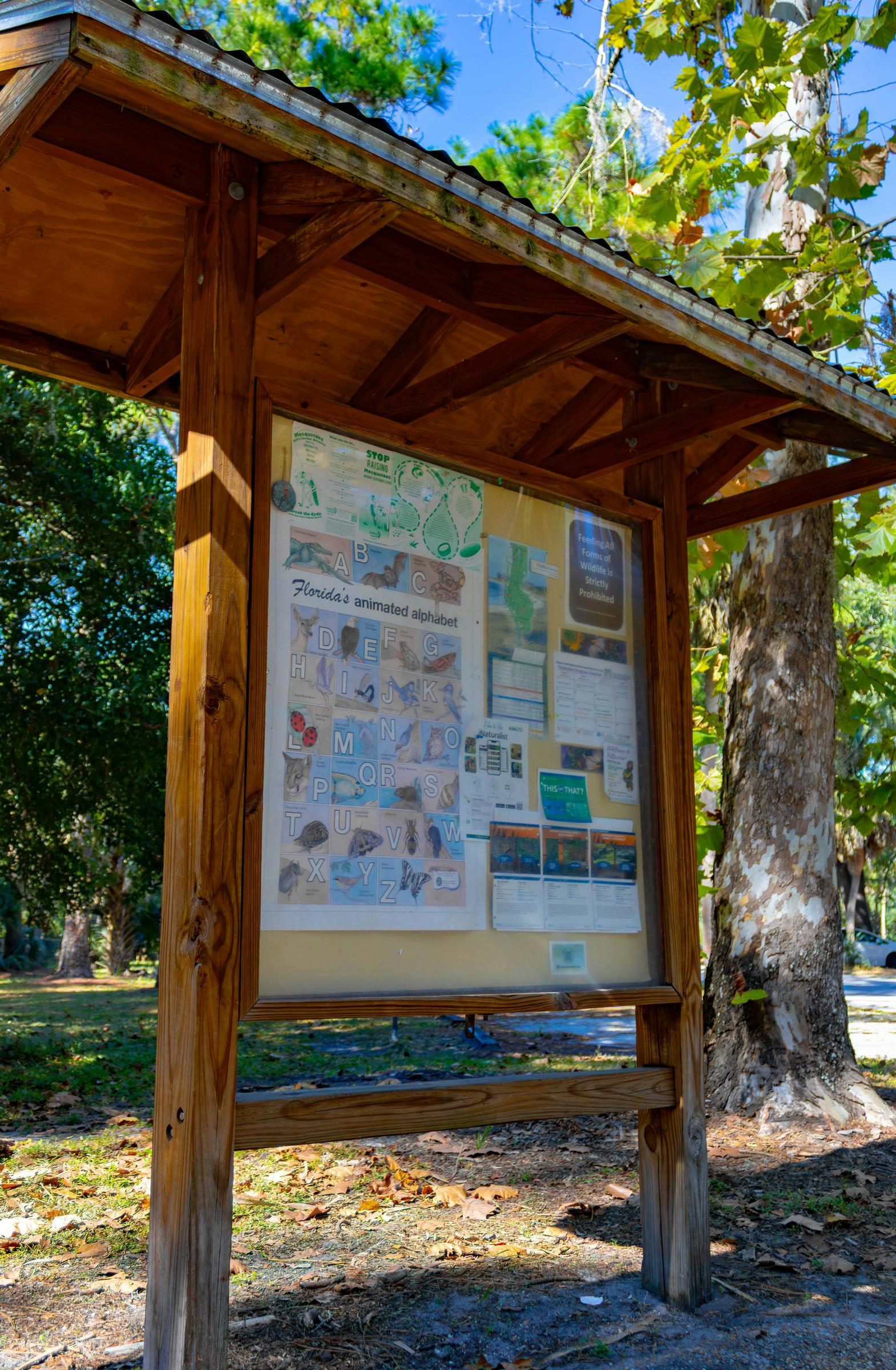 Outdoor Education Banner Photo
